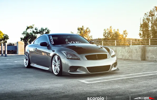 Infiniti, VIP, G37, ACE scorpio