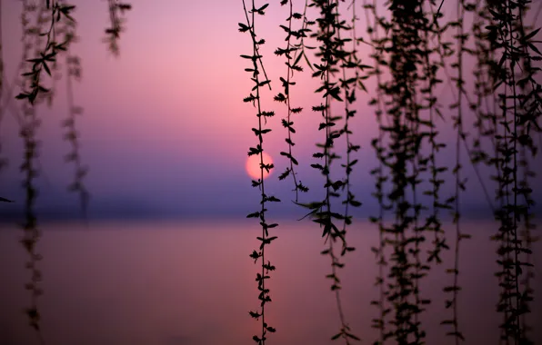 Picture sunset, lake, China