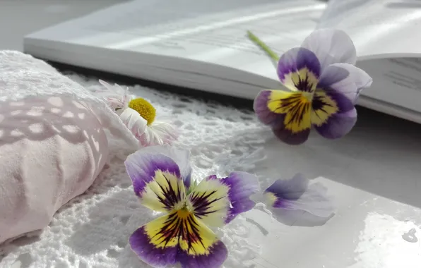 Light, flowers, table, petals, Daisy, shadows, book, Pansy
