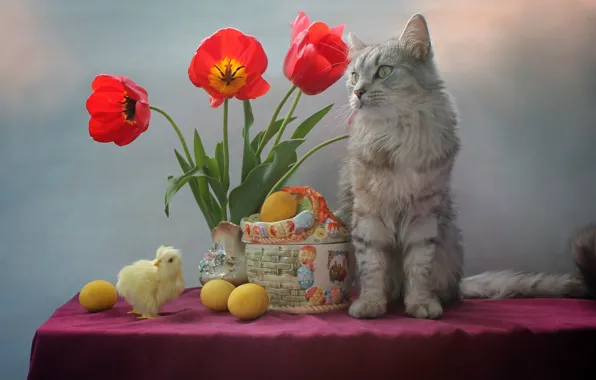 Cat, flowers, table, animal, holiday, eggs, Easter, tulips