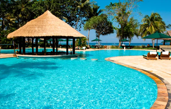 Bar, pool, resort, exotic