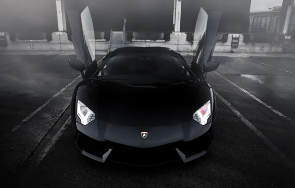 Picture fog, black, before, Lambo, Aventador, Lambo doors