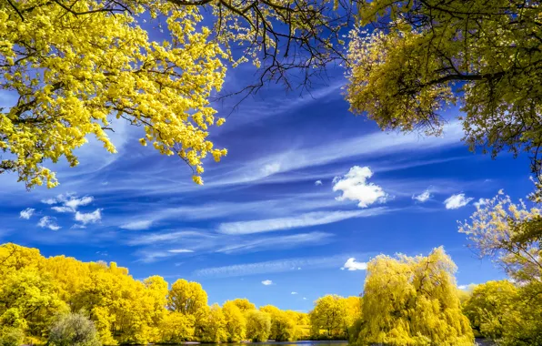 Picture autumn, the sky, clouds, trees, lake
