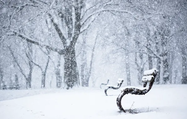 Picture winter, Park, bench
