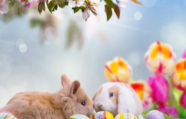 Animals, the sky, rays, flowers, nature, holiday, eggs, branch
