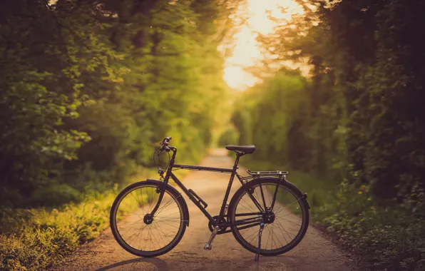 Road, bike, alley, bokeh