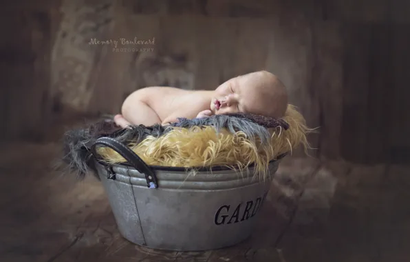 Sleep, boy, sleeping, fur, wood, baby