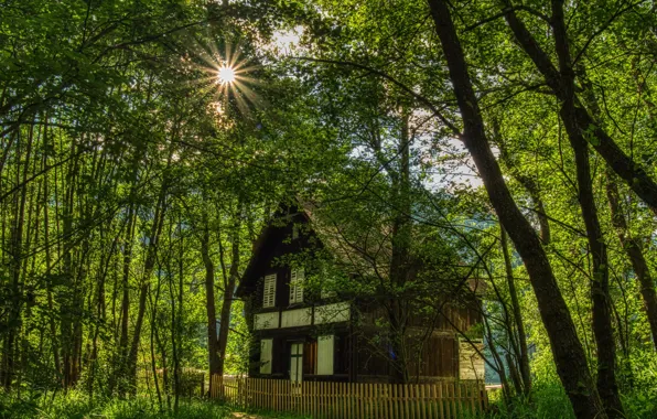 Picture photo, Nature, The fence, Trees, Austria, House, Carinthia, Rays of light
