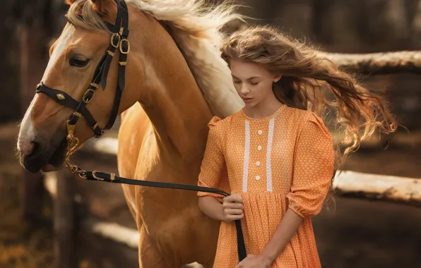 Hair, horse, Girl, dress, Anastasia Barmina, Catherine Pasynkova