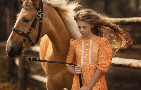 Picture hair, horse, Girl, dress, Anastasia Barmina, Catherine Pasynkova