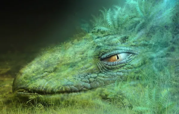 Green, Dragon, Grass, Head