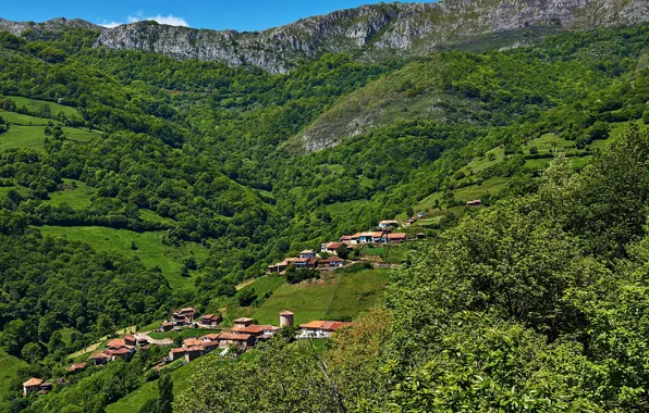 Mountains, field, panorama, houses, Spain, forest, Asturias, Proaza