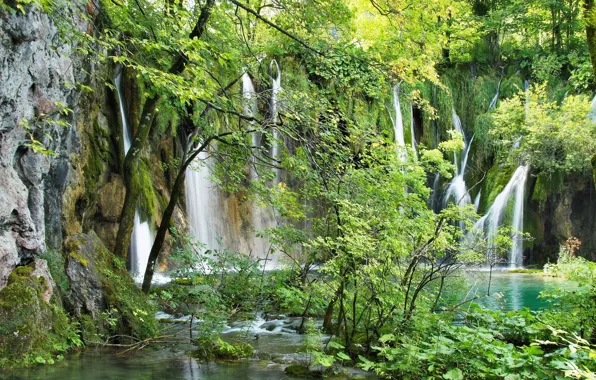 Greens, landscape, nature, lake, plant, waterfall, beauty