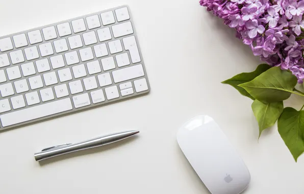 Flowers, mouse, handle, keyboard, lilac