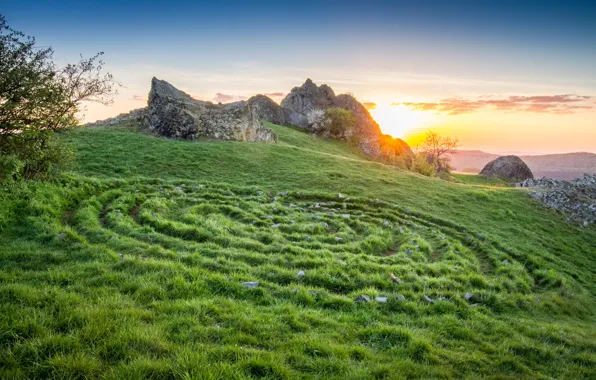 Picture the sky, sunset, mountains, plant, Upland