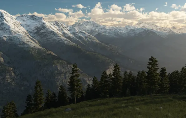 Forest, snow, trees, landscape, mountains, tops, spruce, hill