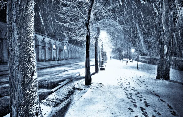 Picture snow, night, the city, street, lights, alayka
