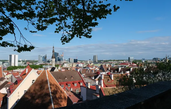 Tallinn, Estonia, Old Town, cityscape