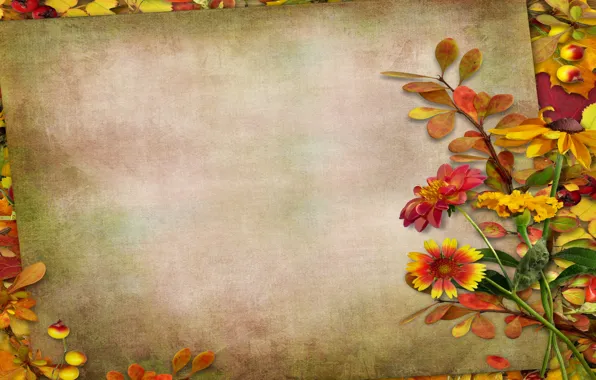 Autumn, leaves, flowers, berries, vintage, background, autumn, leaves