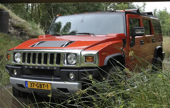 Grass, swamp, dirt, Hummer