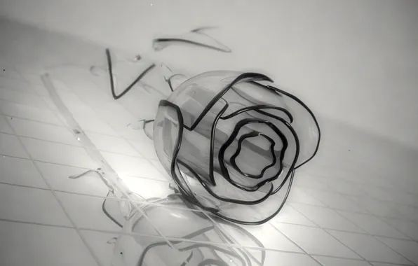 Picture flower, glass, grey, rose