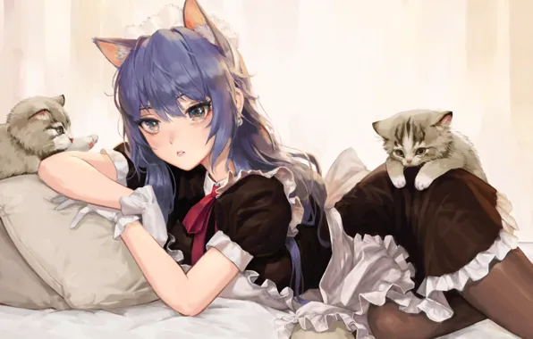 Gloves, pillow, on the bed, blue hair, the maid, ruffles, cat ears, two kittens