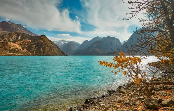 Picture Turquoise water, mountains, shore, haze, branches, rocks, autumn, clouds