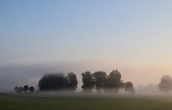 Picture field, forest, the sky, clouds, trees, landscape, nature, fog