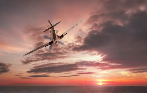 Sea, the sky, clouds, sunset, the plane