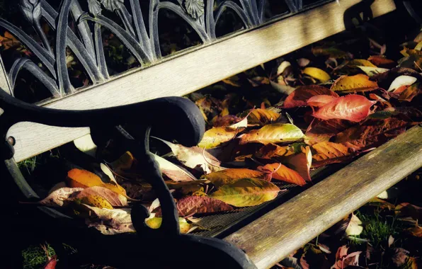 Autumn, leaves, light, bench, foliage, autumn, the pile of leaves, autumn leaves