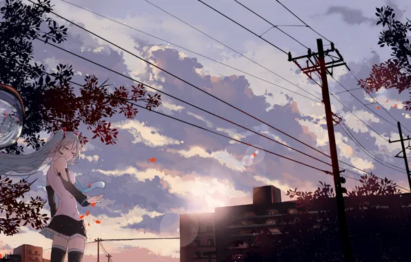 The sky, girl, the city, sunrise, wire, anime, morning, art