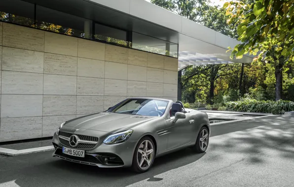 Picture Mercedes-Benz, convertible, Mercedes, AMG, R172, SLC-Class