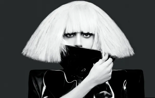 Picture black and white, singer, lady gaga, lady Gaga