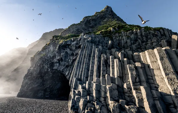 The sky, mountains, birds, fog, rocks, shore, posts, seagulls