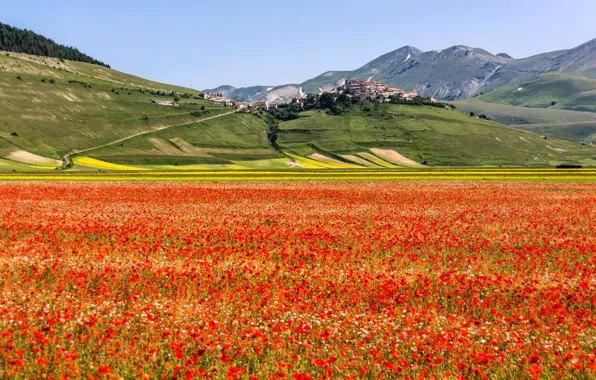 Field, flowers, mountains, Maki, home, meadow, Italy, the village
