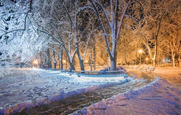 Picture winter, Park, Bulgaria, Win