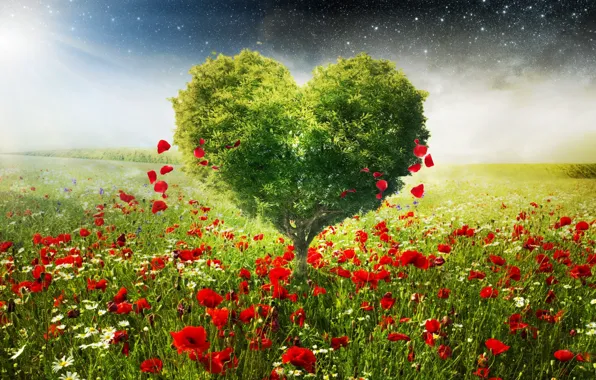 TREE, FIELD, GREENS, LEAVES, FLOWERS, HEART, SPRING, MEADOW