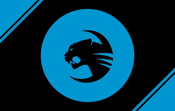 Picture logo, blue, roccat team