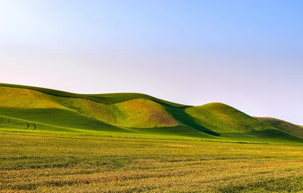 Picture landscape, nature, hill, sunlight, bive