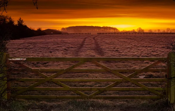 Picture field, sunset, the fence