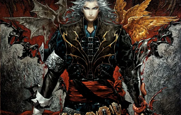 Picture snake, wings, art, male, white hair, castlevania, hector, ayami kojima