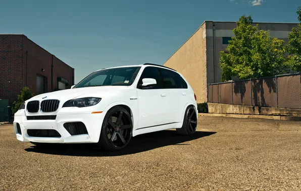 Picture white, bmw, BMW, white, front view, crossover, e70, x5m