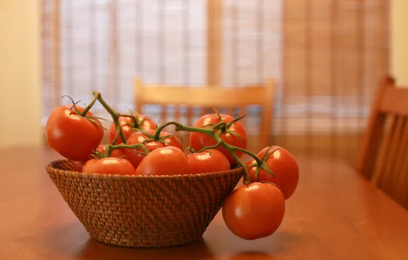Table, red, tomatoes, tomatoes