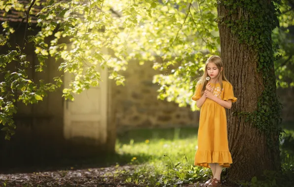 Summer, light, dandelion, girl