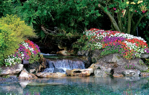 Picture water, nature, stones, plants, garden, flowers, water, flowers