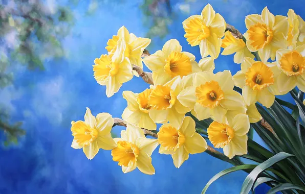 Flowers, bouquet, spring, yellow, blue background, daffodils, AI art, neural network