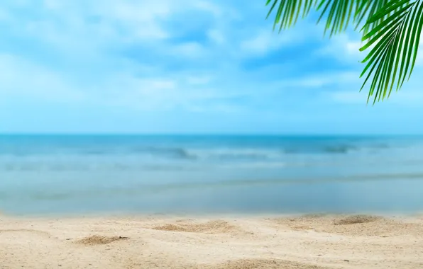 Sand, sea, beach, summer, the sky, the sun, palm trees, shore