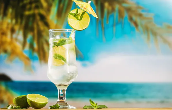 Beach, summer, stay, summer, beach, vacation, fruit, drink