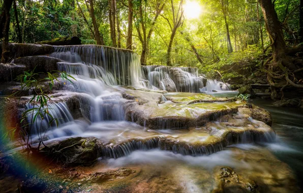 Forest, landscape, waterfall, The sun, Nature, Thailand
