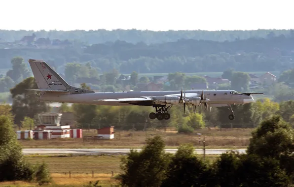 Picture bear, Tu-95MS, bomber bomber, Russian turboprop strategic, The aircraft carrier of cruise missiles X-55